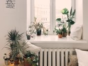 Символом фінансового успіху та достатку є не лише товстянка