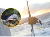 Чоловік рибалив усю ніч