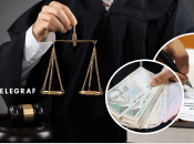 Декларация судьи Гончаровой Алины