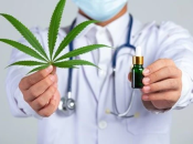 ВР України може проголосували за легалізацію вже у листопаді