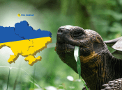 Справжні довгожителі можуть жити понад 70–100 років