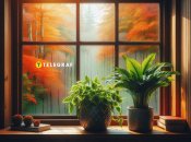 Конденсат на окнах