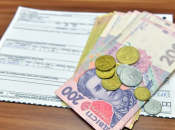 Как ВПЛ получить субсидию в Украине