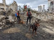 Поисково-спасательный кинологический отряд "Антарес"