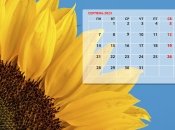 Из-за военного положения праздничных выходных в августе не будет