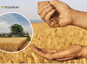 Що буде з врожаєм України у 2025 році