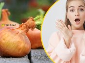 Что категорически нельзя делать с луком