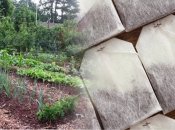 Чайные пакетики - отличный помощник в огороде