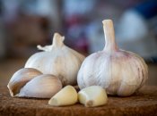 Время заниматься озимым чесноком