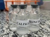 Calixcoca
