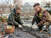 Навіть після перших заморозків на городі можна щось посадити