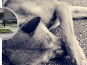 Все сталося на очах в інших людей