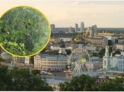 Погода в столице Украины