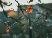 Чего украинцам ждать от зимы: синоптики дали однозначный ответ