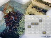 Церковний календар на січень 2026