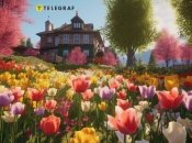 За тюльпанами потрібно доглядати й після того, як вони перецвіли