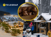 Отдых в Карпатах