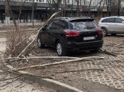 Ветер повалил деревья