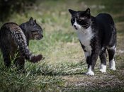 Отношения значительно улучшатся