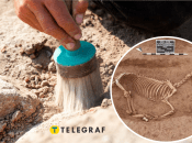 У Німеччині знайшли старовинне кладовище з кіньми