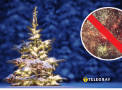 Запуск піротехніки під час війни в Україні заборонено