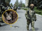 Коллаж "Телеграф"