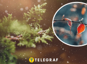 Погода в Україні