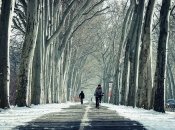 Велодоріжка