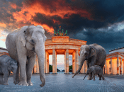 Слоны гуляют по центру Берлина