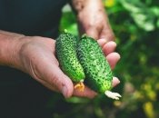 Советы, которы стоит следовать