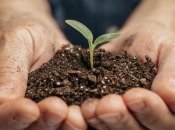 Накануне сезона важно проверить всхожесть семян