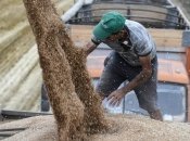 Україна має спробувати домовитися з Польщею про транзит зерна