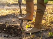 Что сделать с грядками весной, чтобы не перекапывать