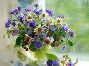 7 мая. 5 вещей «made your day»