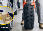 Шина, деньги