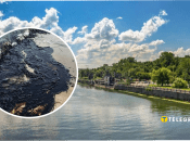 У Придністровську виявили мазут на пляжі