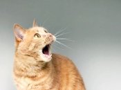 Каких знаков Зодиака ждут сюрпризы совсем скоро