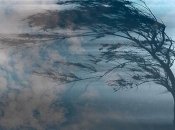 Сильні пориви вітру можуть загрожувати безпеці