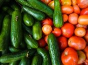 Огірки та помідори – одні з найпопулярніших городніх культур