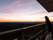 Интересный тест на определение вашего времени суток