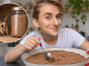 Запасы гречки