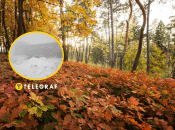 В Украине внезапно выпал снег в сентябре