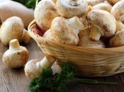 Свежие шампиньоны