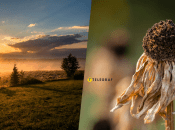 Жара в Украине