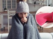 Зима предстоит непростая, поэтому для сохранения тепла пригодятся любые подручные средства