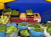 Якісні продукти в столиці