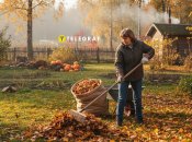 Осенью важно собрать листья в саду и на газоне