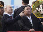 Путинские козлы поехали в Северную Корею