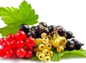 Смородина в детском питании