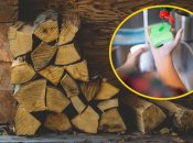 Для опалення підходять лише сухі дрова